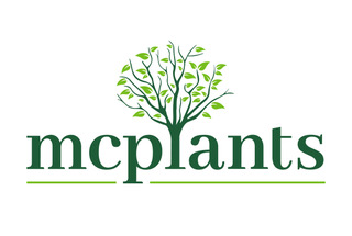 Logo MCPLANTS color