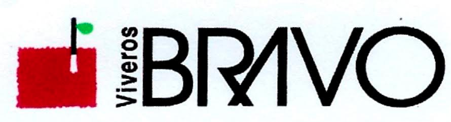 Logo Viveros Bravo