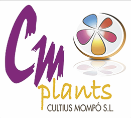 cultius-mompo