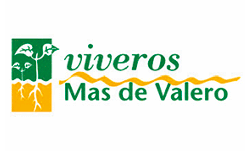 Viveros-Mas-de-Valero