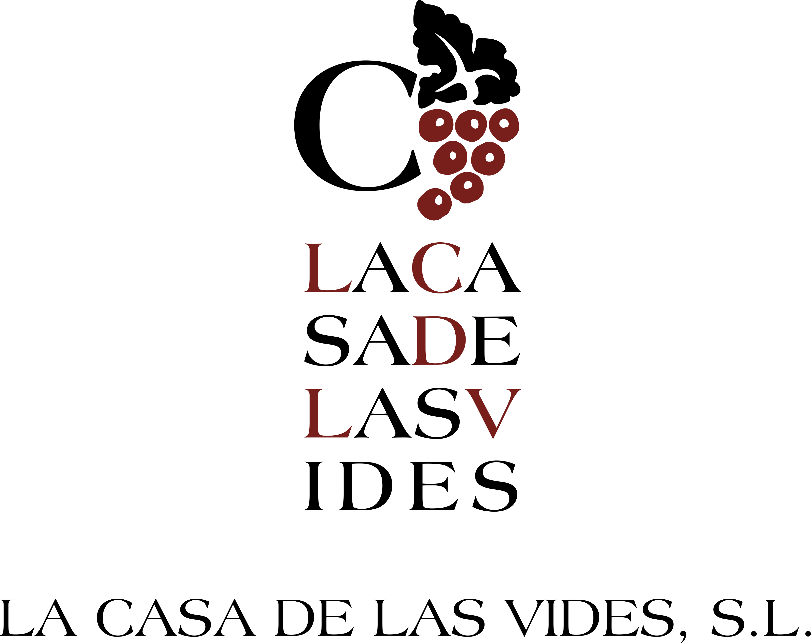LA CASA DE LAS VIDES, S.L.